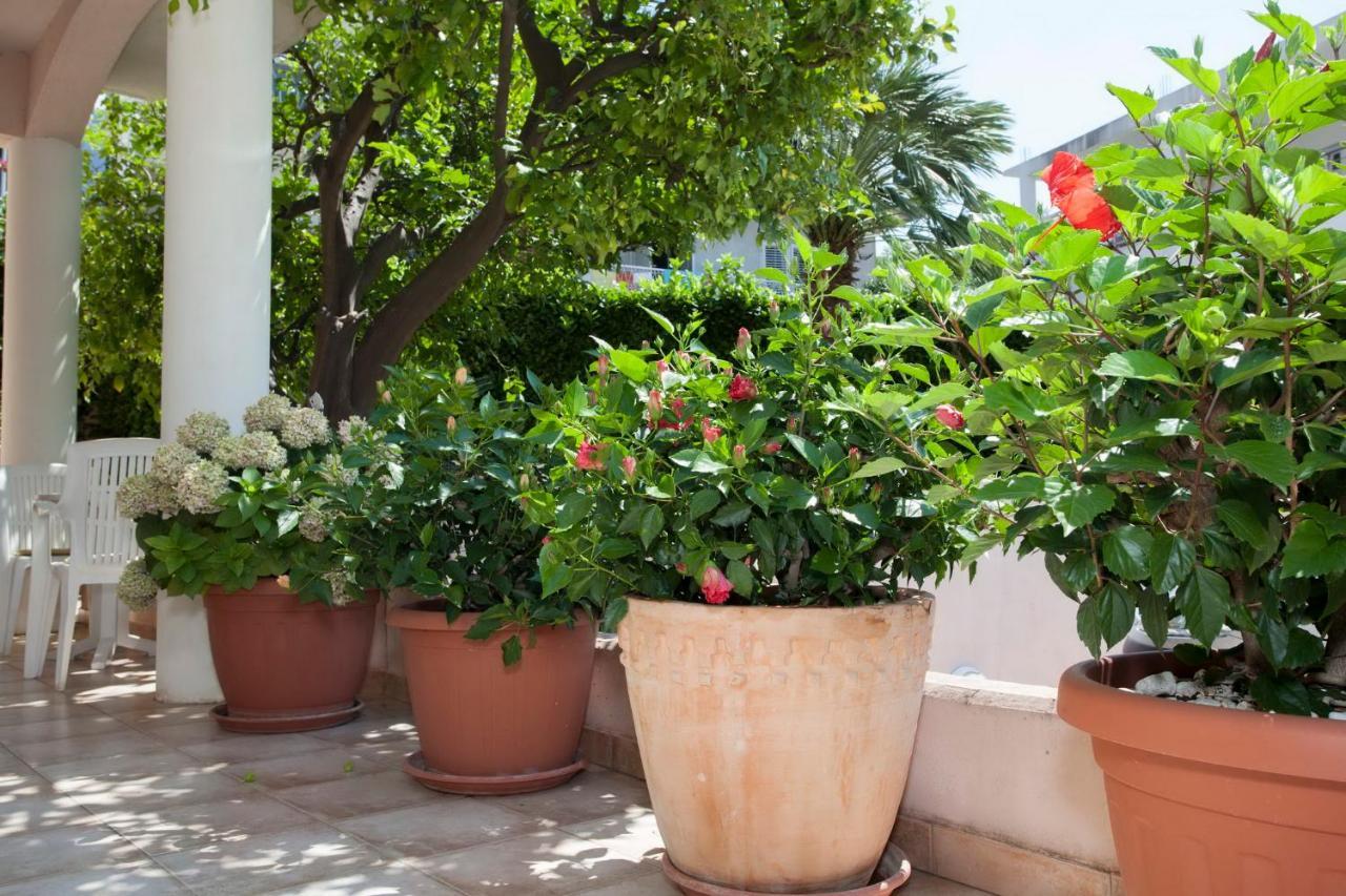 Aparthotel Villa Mozart Podgora Exterior foto